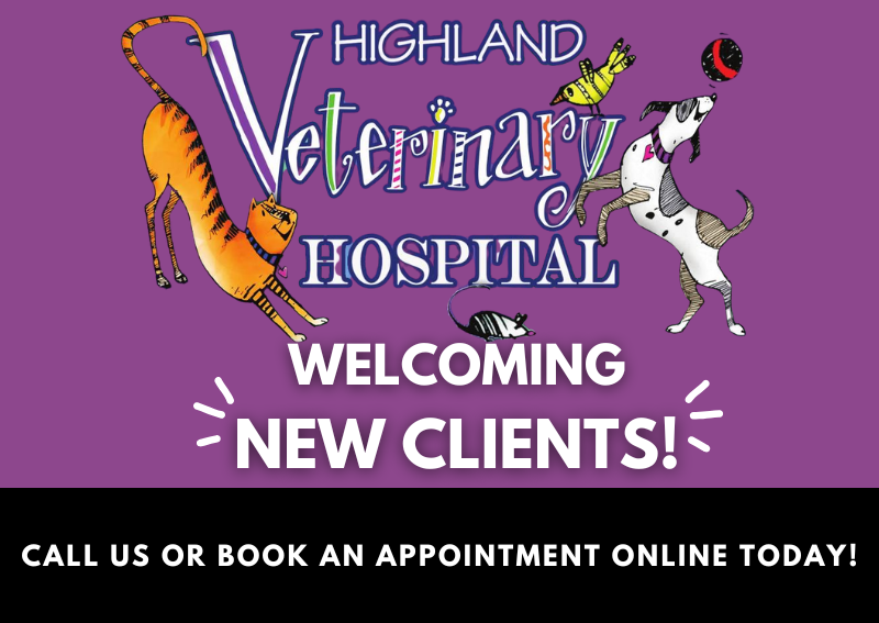 Carousel Slide 1: Welcoming New Clients at Highland Veterinary Hospital